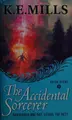 Cover image for The accidental sorcerer