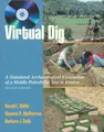 Cover image for Virtual Dig -PR