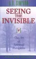 Cover image for Seeing the Invisible