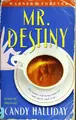 Cover image for Mr. Destiny