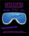 Cover image for Sharks