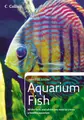 Cover image for Aquarium Fish (Collins Need to Know?)