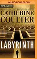 Cover image for Labyrinth