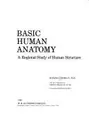 Cover image for Basic Human Anatomy