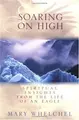 Cover image for Soaring on High