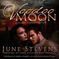 Cover image for Voodoo Moon