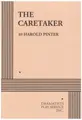 Cover image for The Caretaker