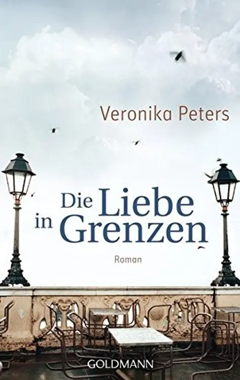 Die Liebe in Grenzen: Roman cover