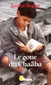 Cover image for Le gone du Chaâba