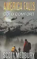 Cover image for America Falls
