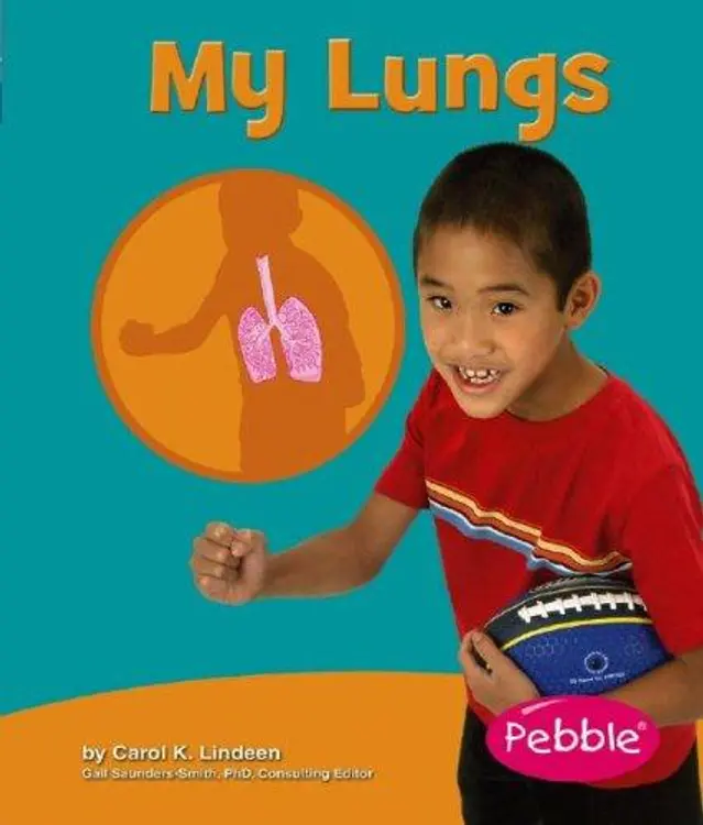 My Lungs (My Body) cover