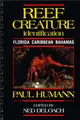 Cover image for Reef Creature Identification