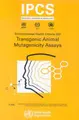 Cover image for Transgenic Mutagenicity Assays (Environmental Health Criteria Series) (Environmental Health Criteria Series)