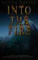 Cover image for Into the Fire