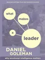 Cover image for What Makes a Leader