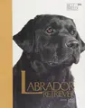 Cover image for Labrador retriever