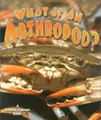 Cover image for What Is an Arthropod? (Science of Living Things)