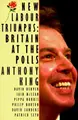 Cover image for New Labour Triumphs