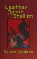 Cover image for Leather spirit stallion