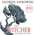 Cover image for Baptism of Fire
