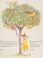Cover image for The Kiskadee queen