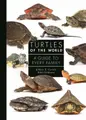 Cover image for Turtles of the World