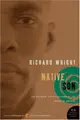 Cover image for Native Son (Perennial Classics)