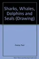 Cover image for Sharks, Whales, Dolphins and Seals (Drawing S.)