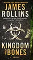 Cover image for Kingdom of Bones