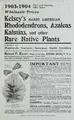 Cover image for 1903-1904 fall and spring wholesale prices