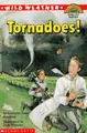 Cover image for Wild weather.