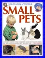 Cover image for How to Look After Your Small Pets