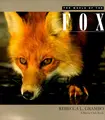 Cover image for The world of the fox