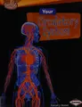 Cover image for Your circulatory system