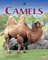 Cover image for Camels (Nature Watch)