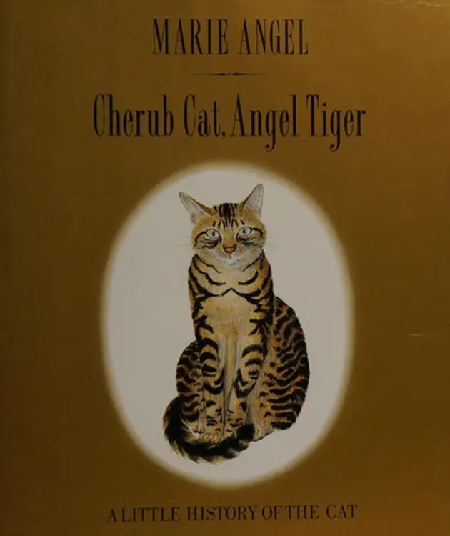 Cherub cat, angel tiger: a little history of the cat cover
