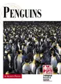 Cover image for Endangered Animals and Habitats - Penguins (Endangered Animals and Habitats)
