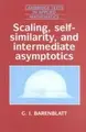 Cover image for Scaling, self-similarity, and intermediate asymptotics