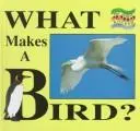 Cover image for What makes a bird?