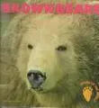 Cover image for Brown bears