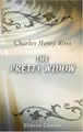 Cover image for The Pretty Widow