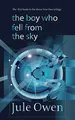 Cover image for The Boy Who Fell from the Sky