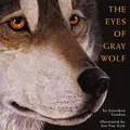 Cover image for The eyes of Gray Wolf