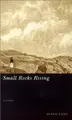 Cover image for Small Rocks Rising