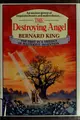 Cover image for Destroying angel