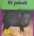 Cover image for El jabali
