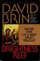 Cover image for Brightness reef