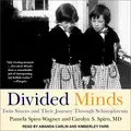 Cover image for Divided Minds