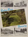 Cover image for Baker Bros. Nursery, serving the Southwest since 1884