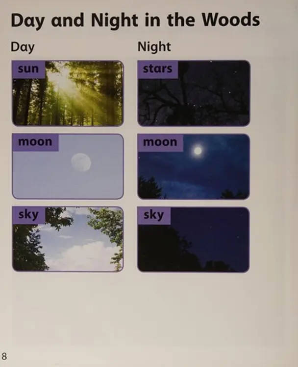 National Geographic Science K : Become an Expert: Day and Night in the Woods cover